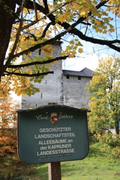 Jahrestagung 2012 des Forstvereins für OÖ und Sbg. in Kaprun