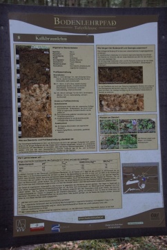 Veranstaltung Waldbau im Klimawandel, 10.3.2020