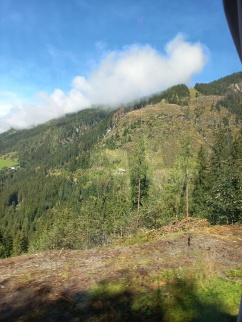 Waldbau im Klimawandel im Gebiet Bad Gastein - Fach- und Jahrestagung am 15.9.2022