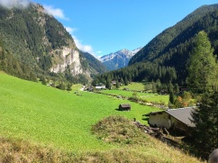 Waldbau im Klimawandel im Gebiet Bad Gastein - Fach- und Jahrestagung am 15.9.2022