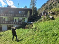 Waldbau im Klimawandel im Gebiet Bad Gastein - Fach- und Jahrestagung am 15.9.2022