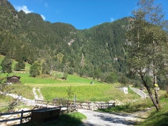 Waldbau im Klimawandel im Gebiet Bad Gastein - Fach- und Jahrestagung am 15.9.2022