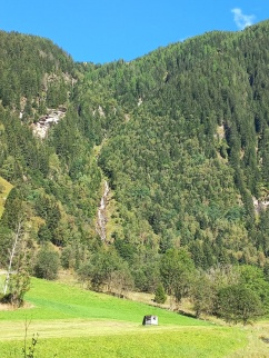 Waldbau im Klimawandel im Gebiet Bad Gastein - Fach- und Jahrestagung am 15.9.2022