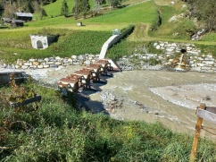 Waldbau im Klimawandel im Gebiet Bad Gastein - Fach- und Jahrestagung am 15.9.2022