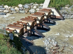 Waldbau im Klimawandel im Gebiet Bad Gastein - Fach- und Jahrestagung am 15.9.2022