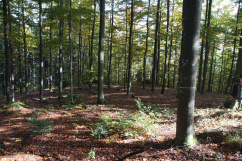 Fach- und Jahrestagung des Forstvereins für OÖ und Sbg. 14.10.2025, Stift Waldhausen