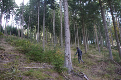 Fach- und Jahrestagung des Forstvereins für OÖ und Sbg. 14.10.2025, Stift Waldhausen